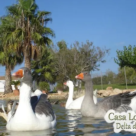 Apartment Casa Lo Fangar - Delta De L'ebre - 4 Dobles 2 Lliteres *