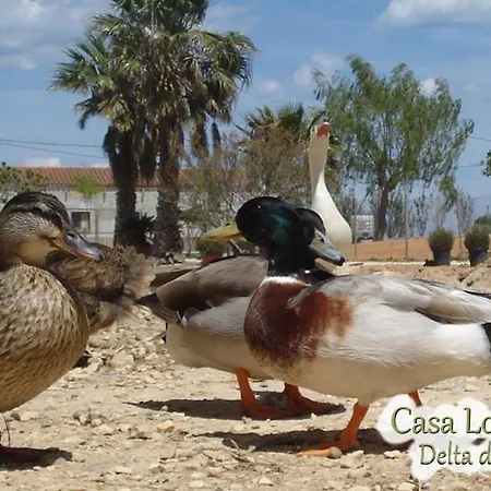 Apartment Casa Lo Fangar - Delta De L'ebre - 4 Dobles 2 Lliteres