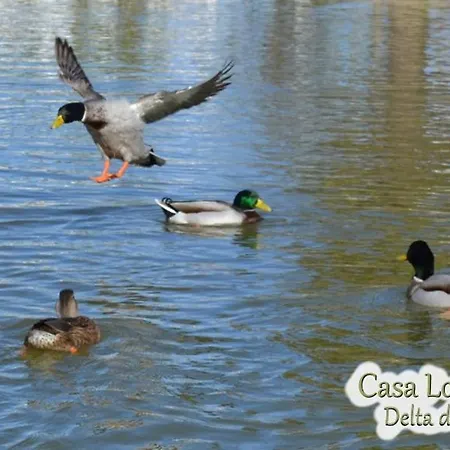 Casa Lo Fangar - Delta De L'ebre - 4 Dobles 2 Lliteres * Deltebre