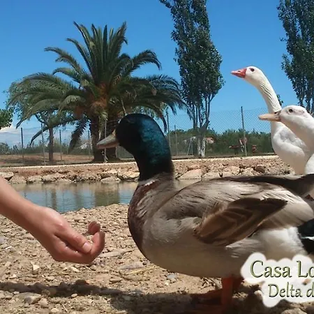Casa Lo Fangar - Delta De L'ebre - 4 Dobles 2 Lliteres Apartment
