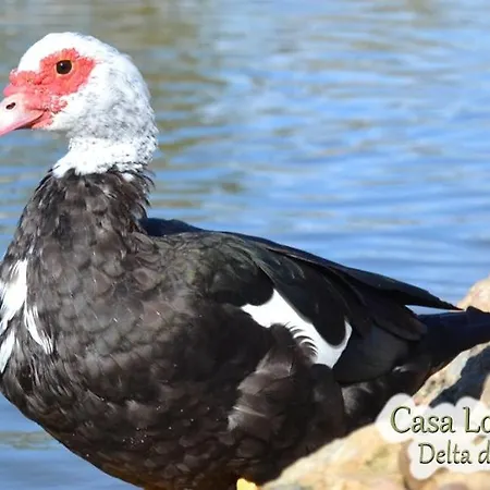 Casa Lo Fangar - Delta De L'ebre - 4 Dobles 2 Lliteres Deltebre