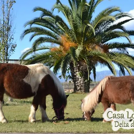 Casa Lo Fangar - Delta De L'ebre - 4 Dobles 2 Lliteres Apartment *